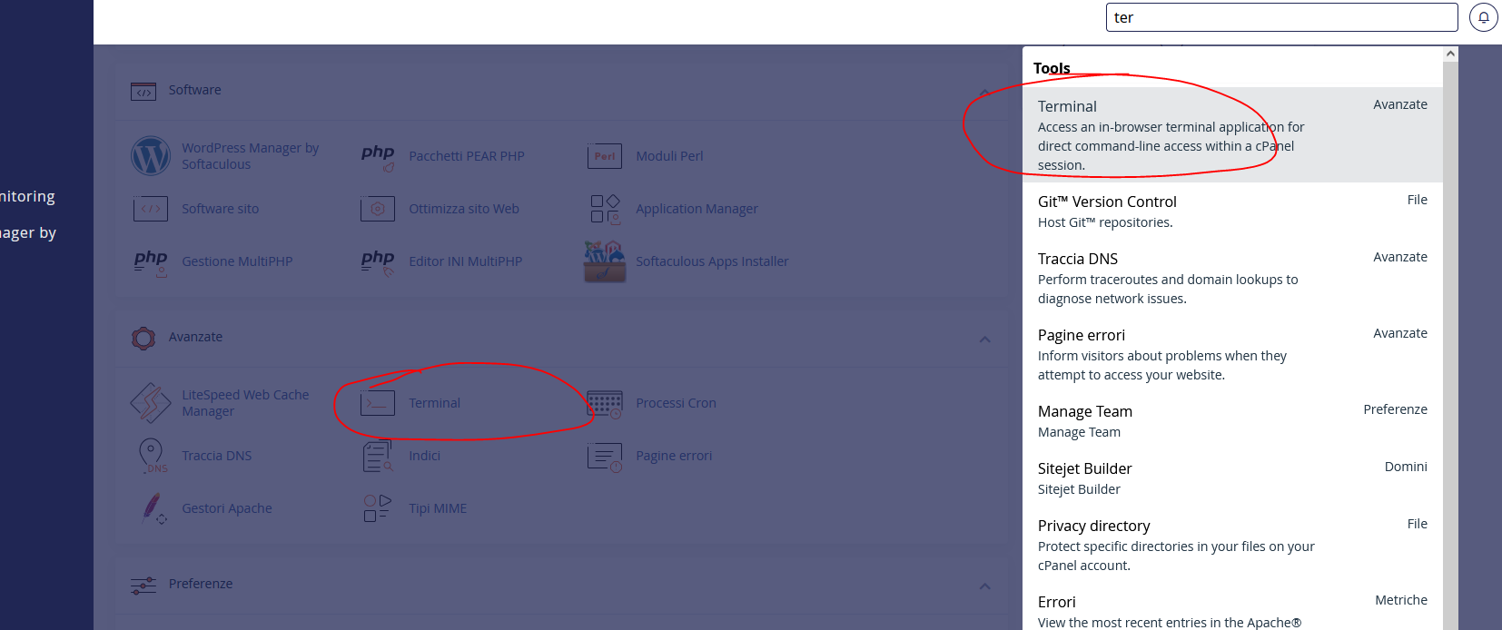 Staging WP: Creare un'area di staging con WP-CLI per WordPress